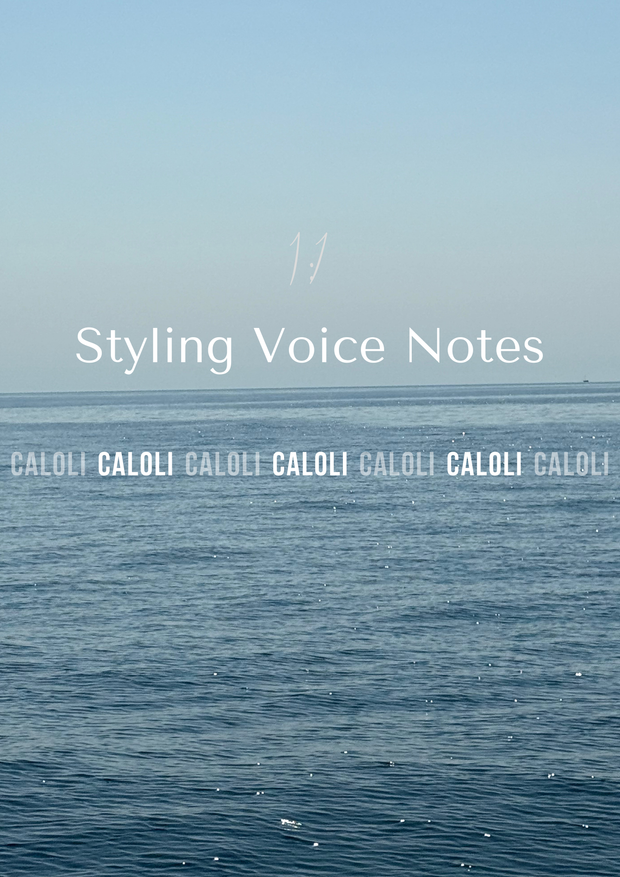 1:1 Styling Voice Notes