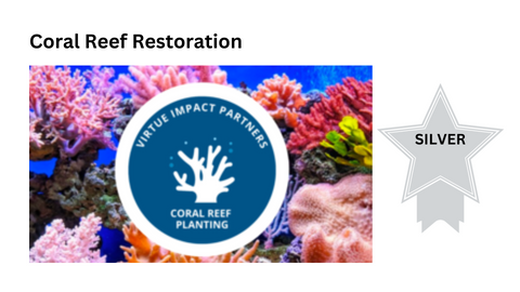 Coral Reef Restoration