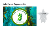 Kelp Forest Regeneration