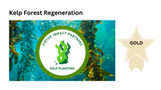 Kelp Forest Regeneration