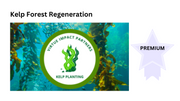 Kelp Forest Regeneration