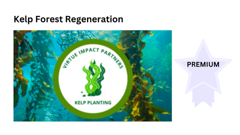 Kelp Forest Regeneration