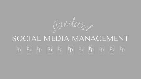 SOCIAL MEDIA MANAGEMENT: standard